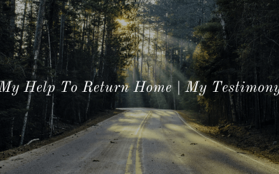 My Help To Return Home | Liew Khai Foong