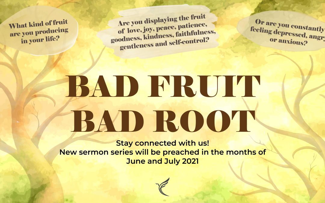 Sermon Series | Bad Fruit Bad Root