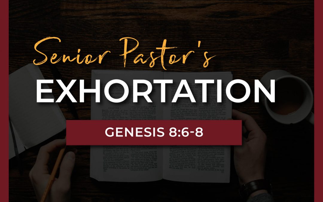 Senior Pastor Exhortation | Genesis 8:6-8