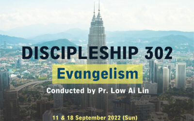 Discipleship 302
