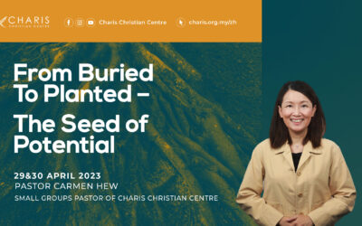 From Buried To Planted – The Seed of Potential