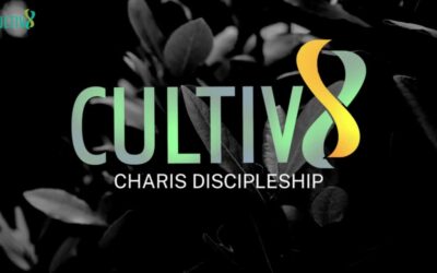 Cultivate | Starting Point