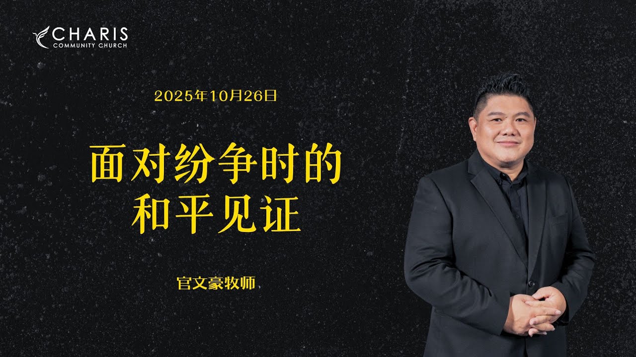 面对纷争时的和平见证