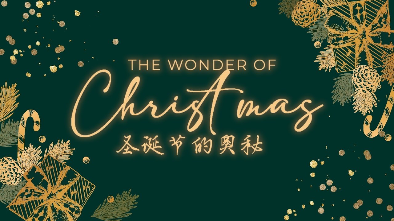The Wonder of Christmas 