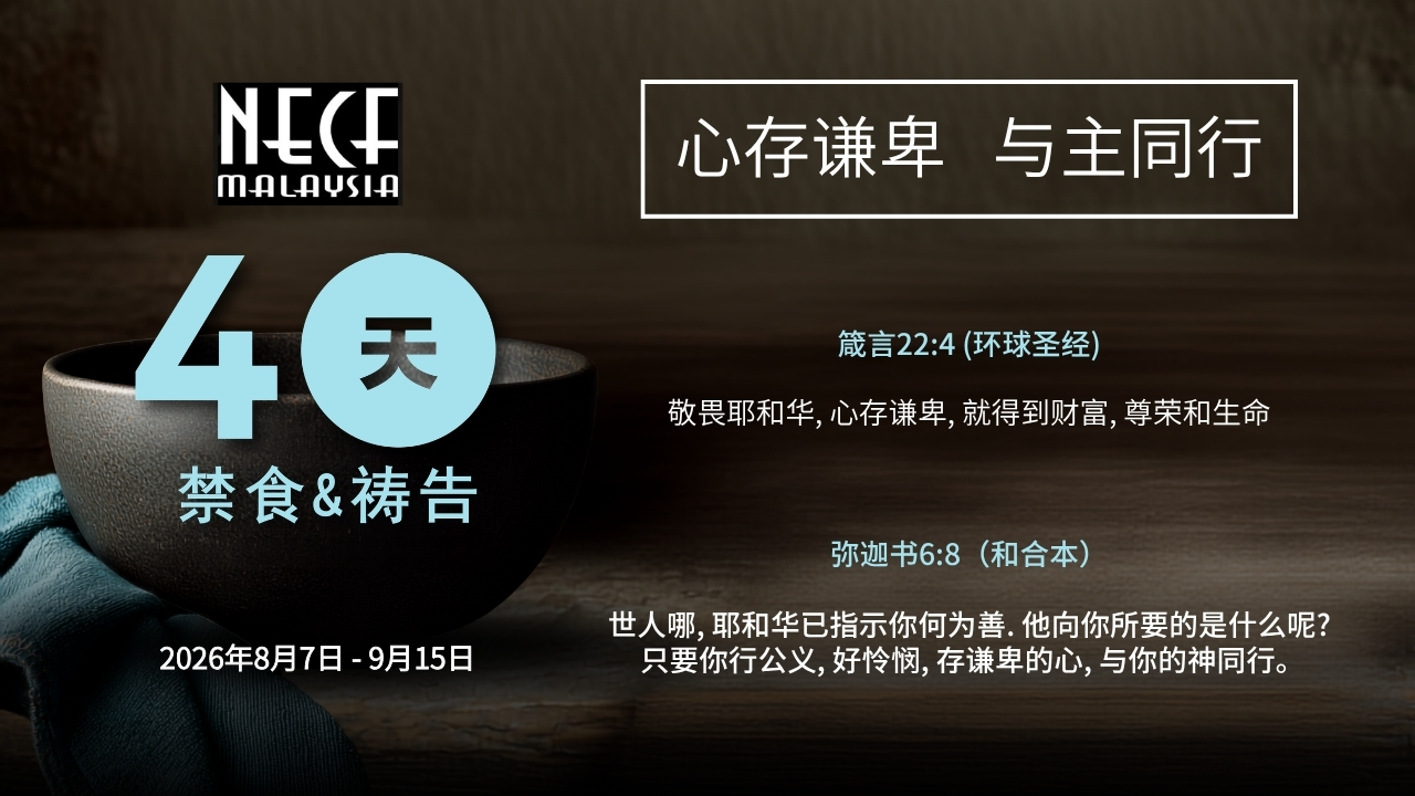  第1天 07.08.2026